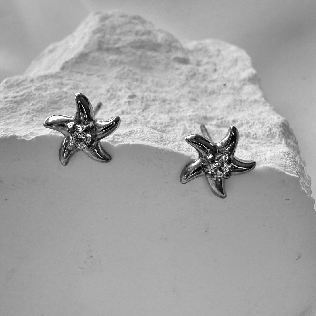 Starfish-shaped silver earrings on a rock