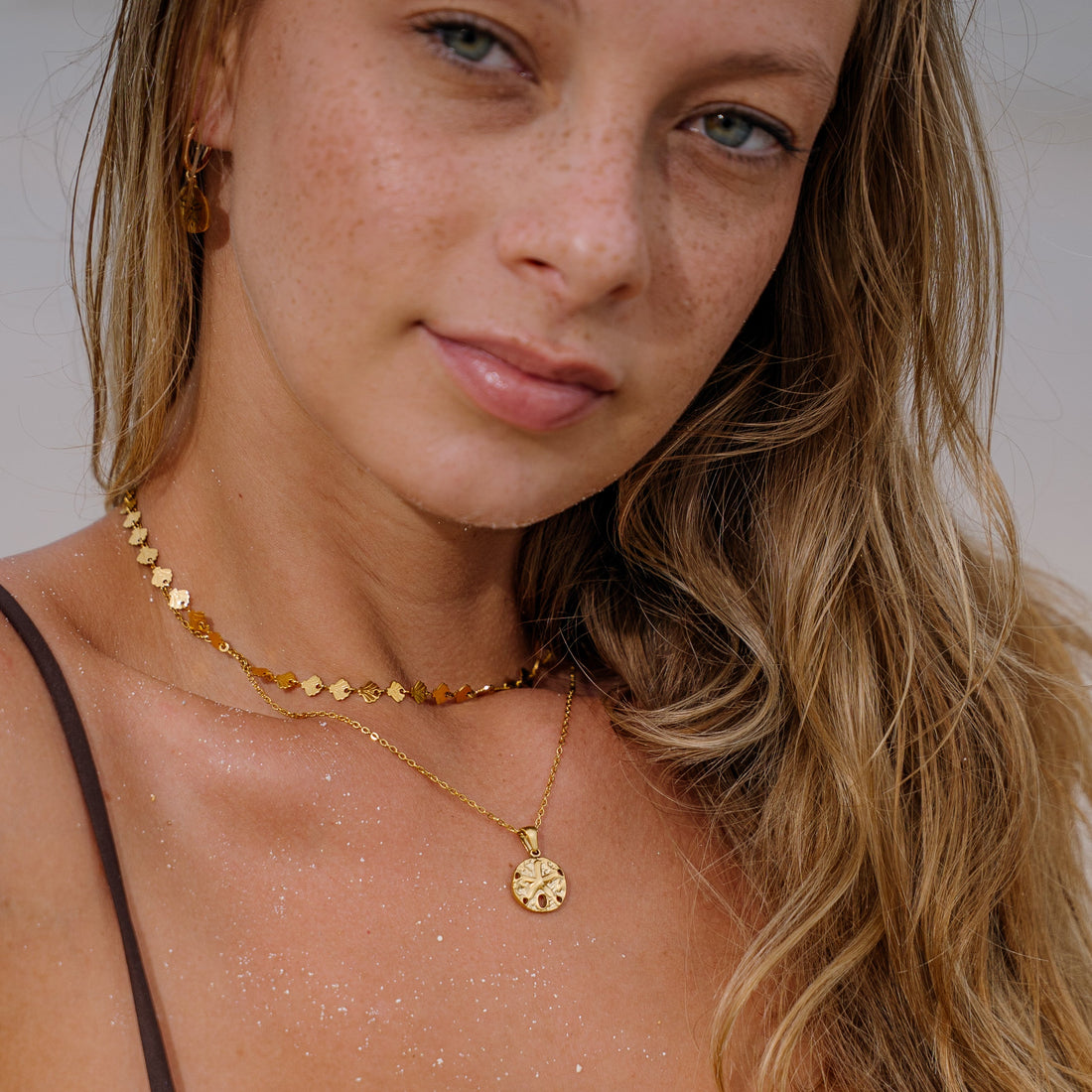 Rotto | Sand Dollar 18K Gold Plated or Stainless Steel Shell Pendant Necklace