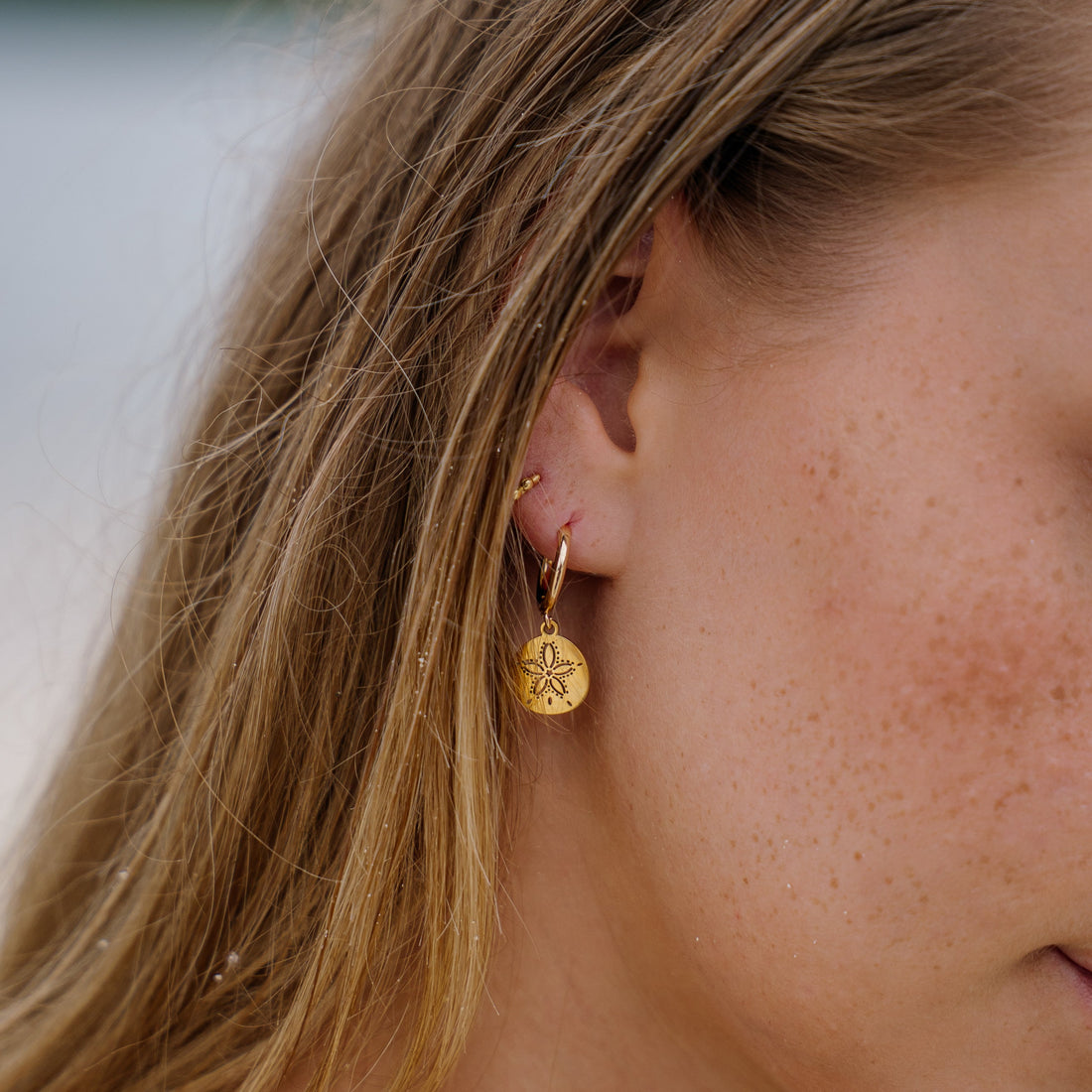 Coron Sand Dollar Earrings – 18k Gold-Plated or Stainless Steel